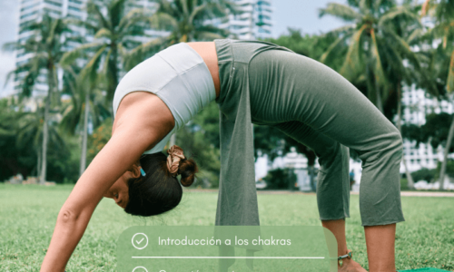 Move & Heal – Aprende a sanarte a través del movimiento.